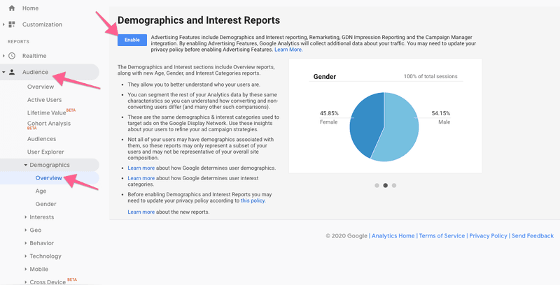 Report Demografis Google Analytics